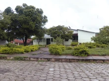 salinasead